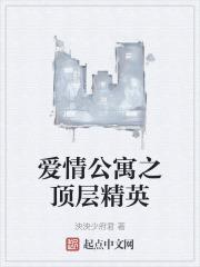 爱情公寓之顶层精英